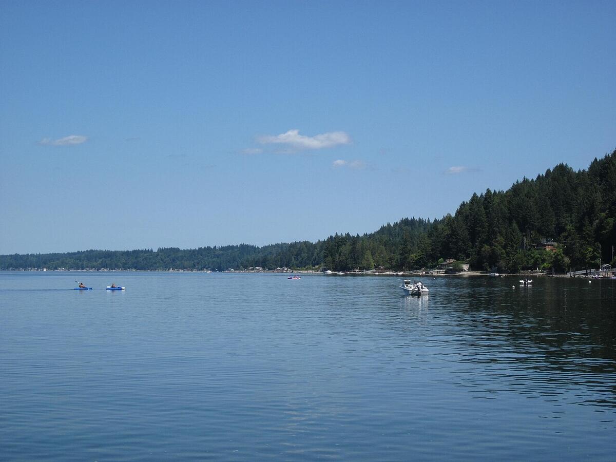 Calm water and forested shoreline on Hood Canal